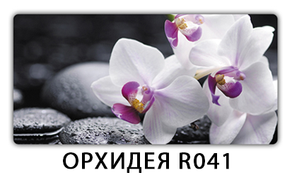 Стол Паук с фотопечатью